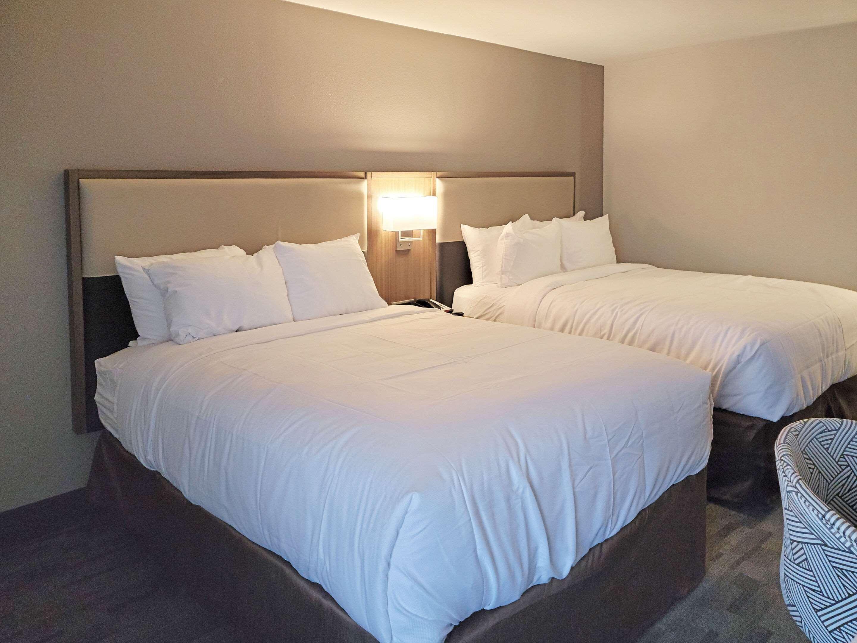 Comfort Inn & Suites Wyomissing-Reading Esterno foto