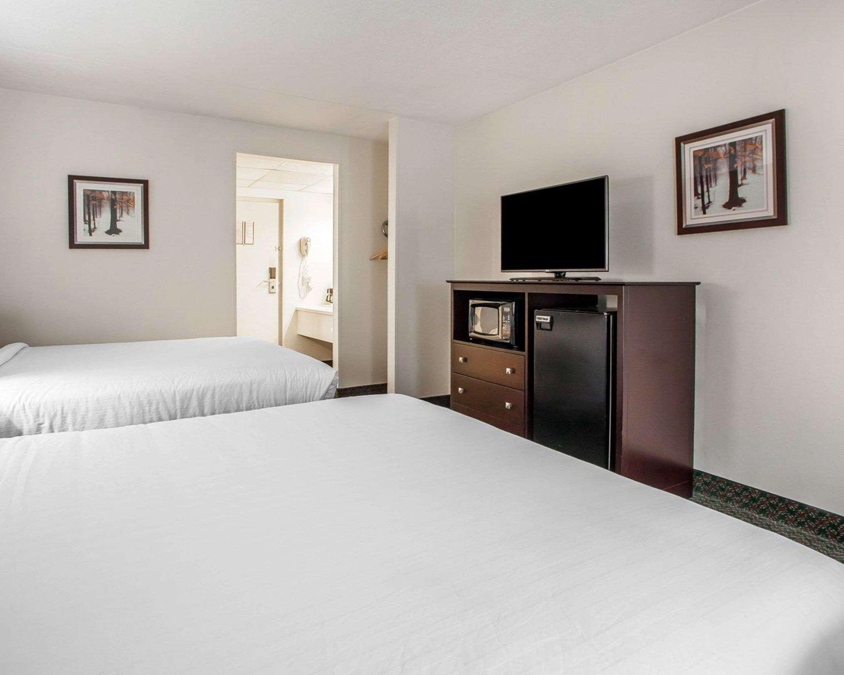 Comfort Inn & Suites Wyomissing-Reading Esterno foto