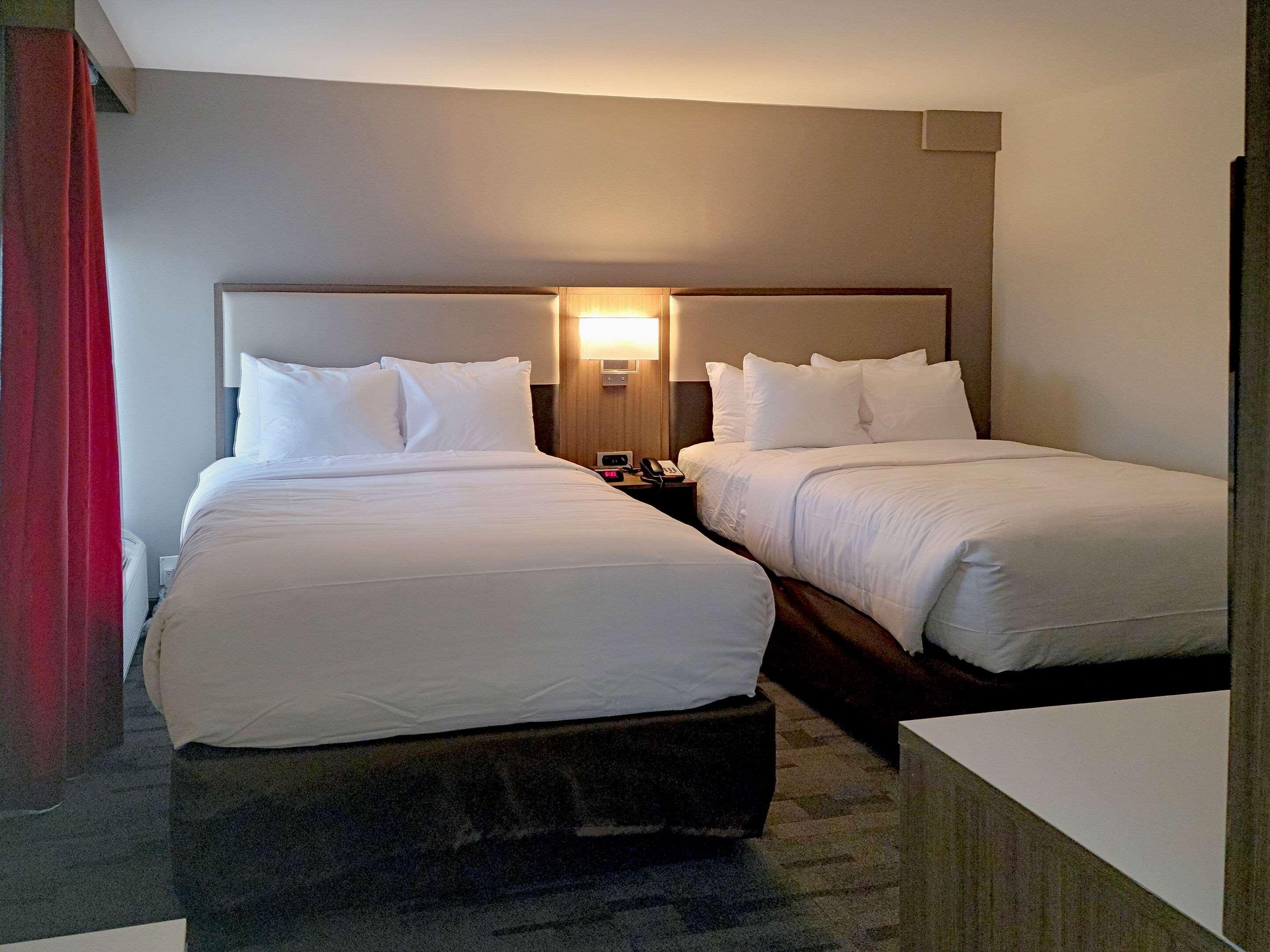 Comfort Inn & Suites Wyomissing-Reading Esterno foto